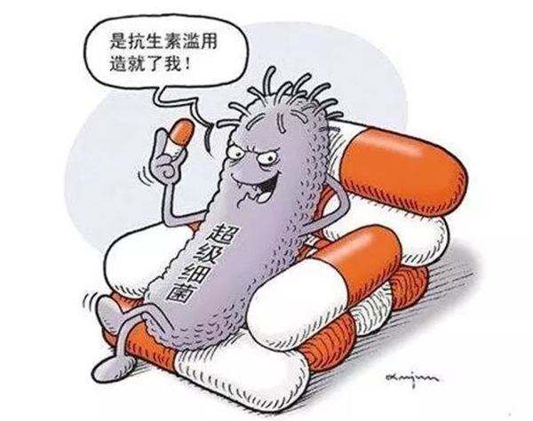 mrsa是什么细菌