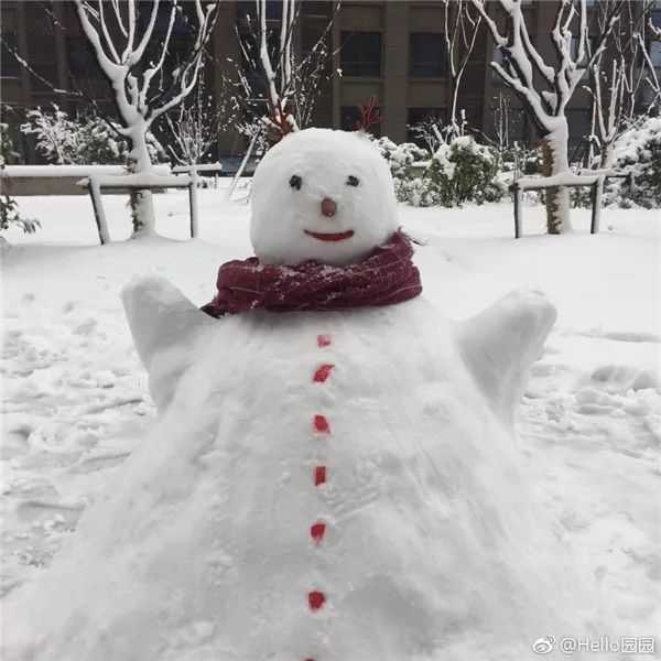 南方人始终对下雪有一种执念啊(附重庆周边雪景)