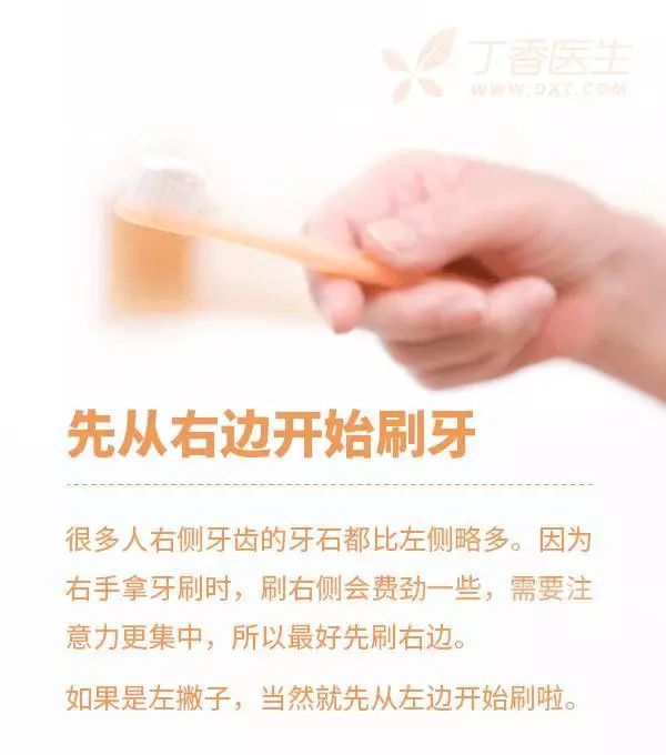 正常人口腔图片_精美的口腔解剖图,好好收藏!_网易订阅