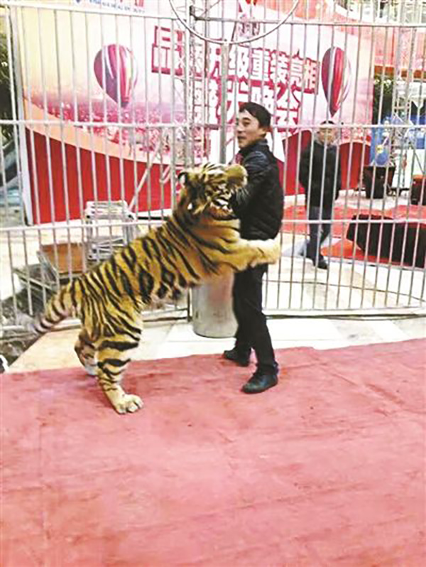 案发前的李荣庆与马戏团的老虎在一起。