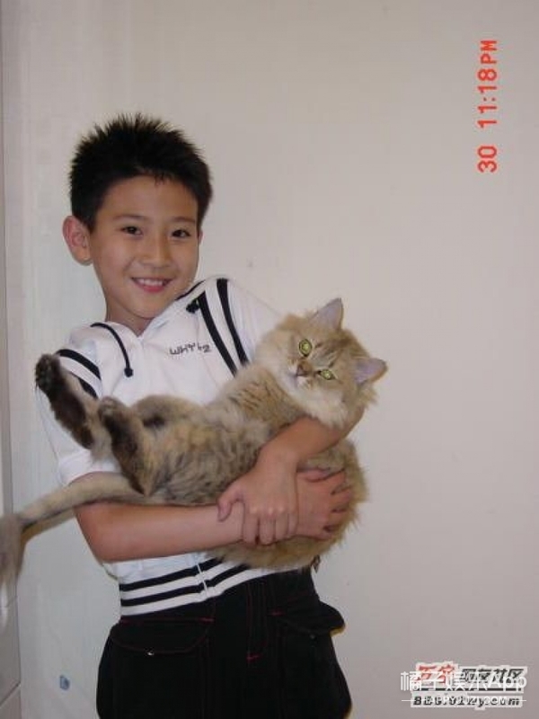 【好久不见】 12年了,《绿光森林》里的小威廉