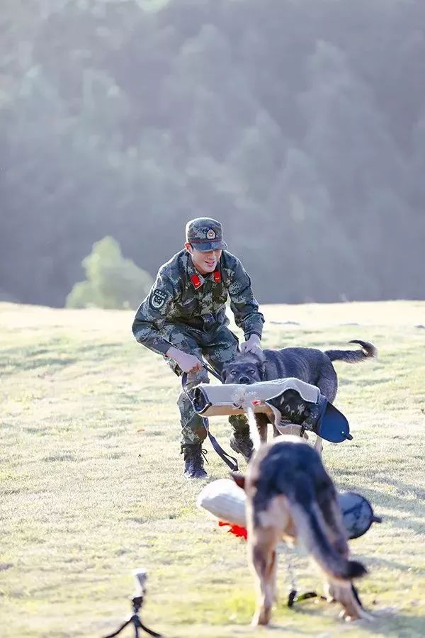 《奇兵神犬》人犬运动会趣味开赛,张大大被吐槽姜潮上演惊天逆袭