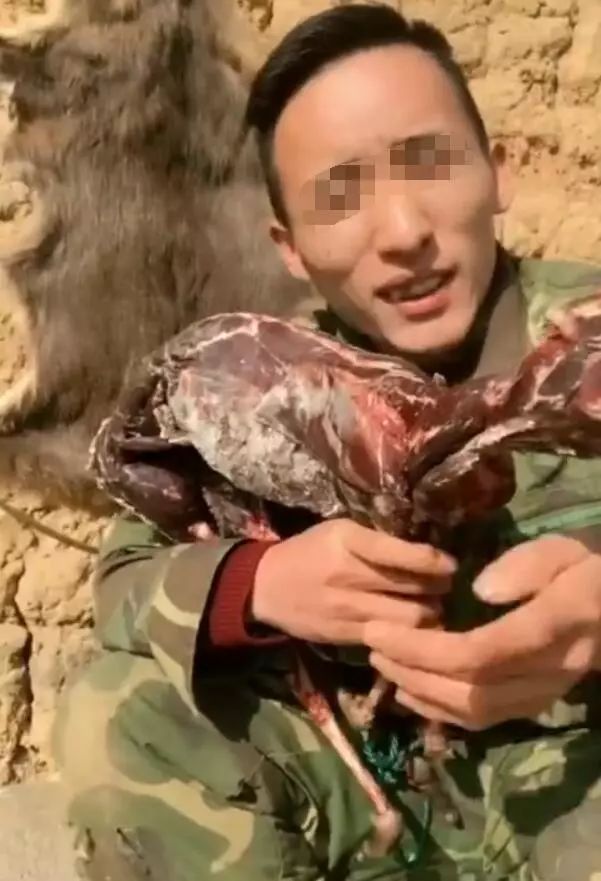 快手主播为吸粉直播猎杀野生动物, 已被刑拘