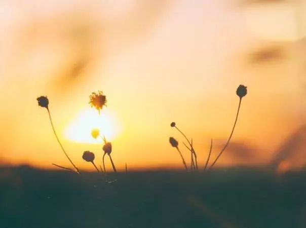 2017.12.02|退款电话说了啥?1个半小时被骗6万