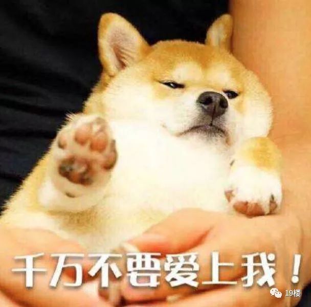 我的18岁,怕是脑壳有问题哦! 刷屏的18岁照片