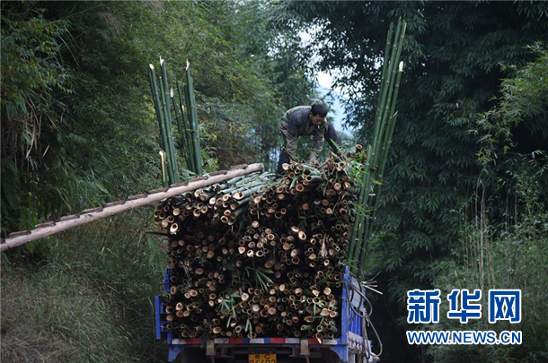 赤水人口_贵州人口31万的县市 赤水