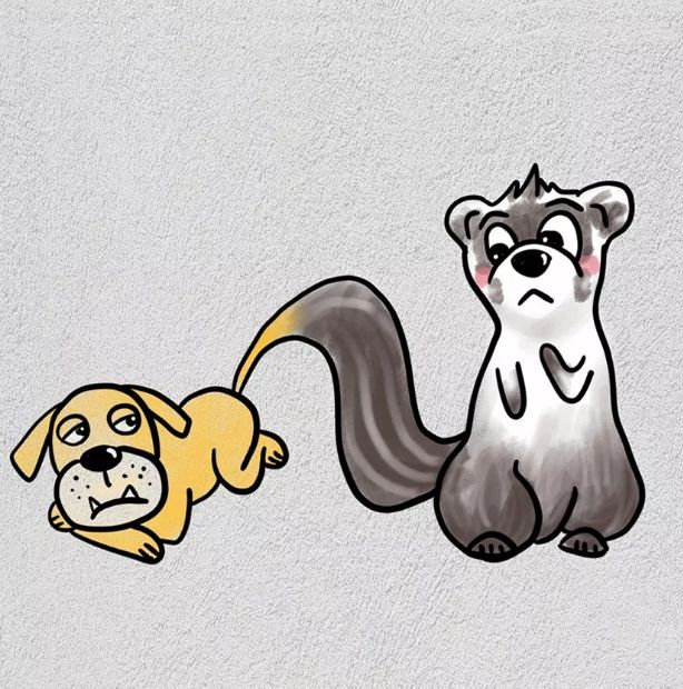 貂尾疯狂猜成语_疯狂猜成语貂字 貂尾的正确成语应该是什么(2)