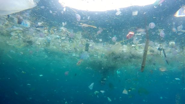 英男子潜水记录巴厘岛海洋污染 塑料垃圾触目