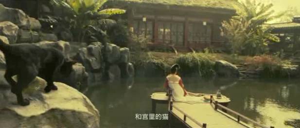 贺岁档《芳华》PK《妖猫》,谁主沉浮?