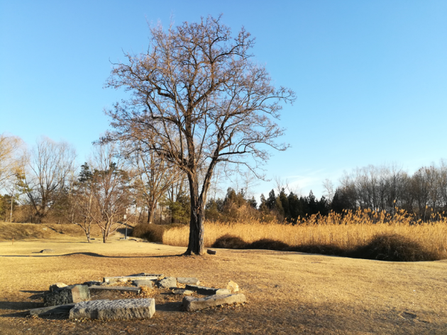 一个乐视散户的自白:只要憧憬光明 就不惧怕黑