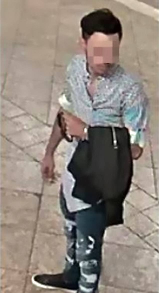 后方对性侵者实施抓捕遭公众批评|性侵|警方|隐私法