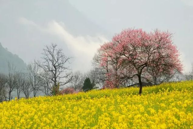 https://image.ipaiban.com/upload-ueditor-image-20180116-1516070216067038494.png