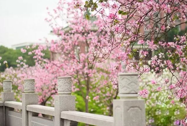 男子借2000元被判还22000元!冤吗?这样写借条