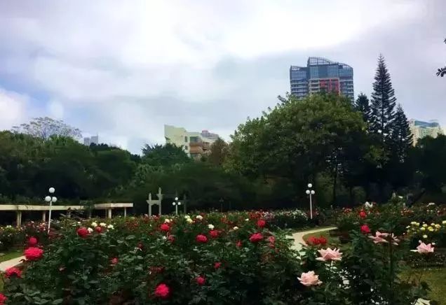 在深圳过年不知道去哪儿玩？错过这些地方你就真亏大了