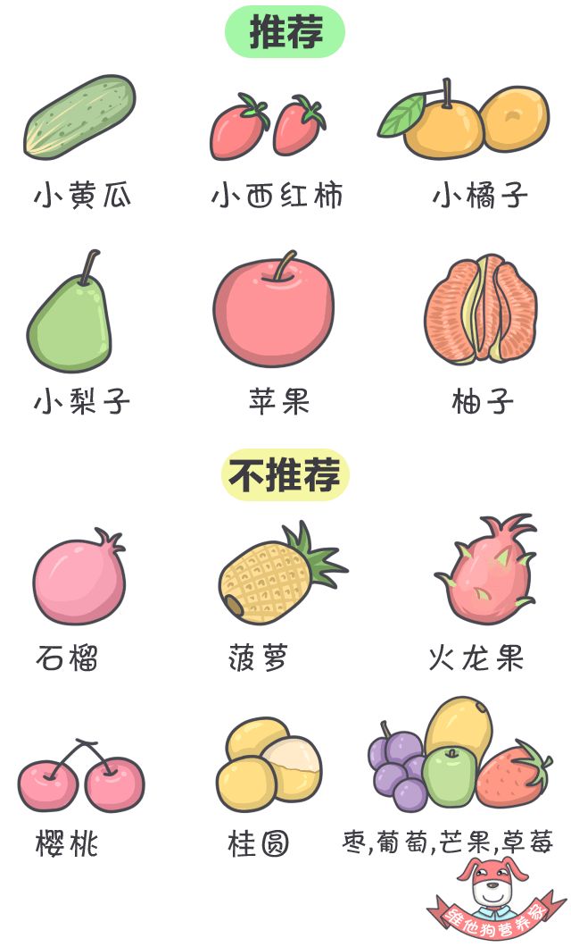 春节计划旅行?这份食品清单你一定用得上!