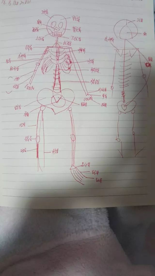 同学,你这么放荡不羁爱自由,你家里人知道吗~