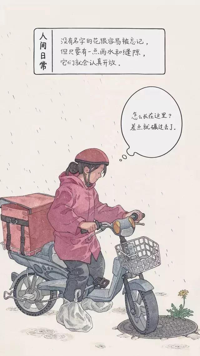 没有名字的花