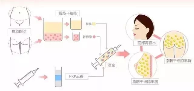 过程