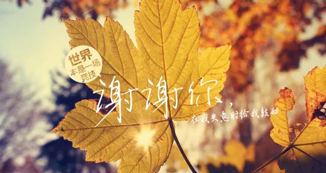 芳、王为念再携手,为黑龙江卫视《谢谢你》全