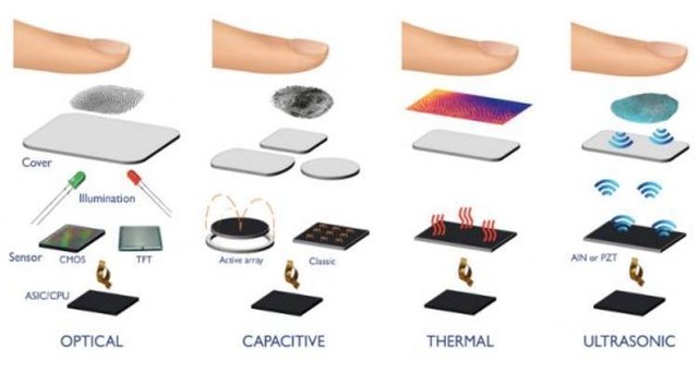 光学、电容、热敏、超声波是四种常见的指纹识别方式