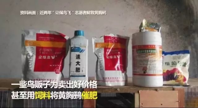 ▲“我們視頻”視頻截圖
