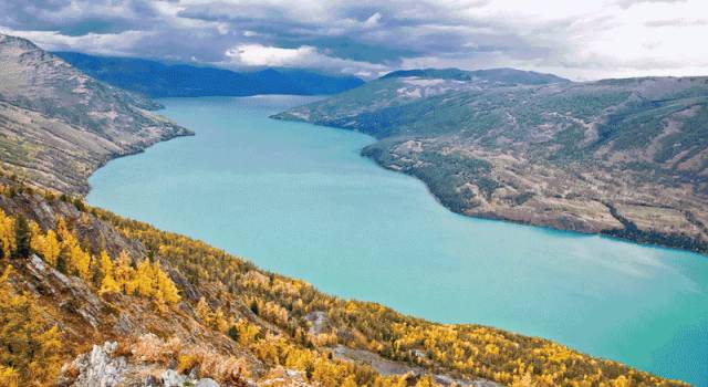 【免费福利】酥脆香梨、糖心苹果、板栗南瓜…