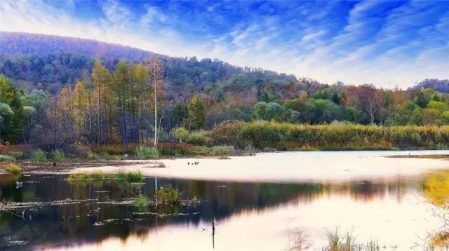 害了我的哈尔滨!这项排名全国第二,东北三省唯