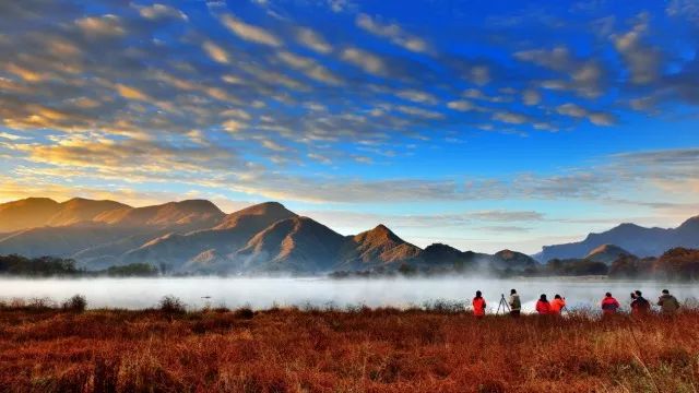 关注|围观!纪录片《自然密语--神农架》12月7日