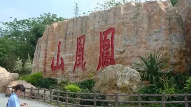 在深圳过年不知道去哪儿玩？错过这些地方你就真亏大了
