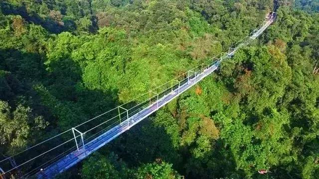 厉害!广西又一座玻璃桥开放，据说全国第二长!