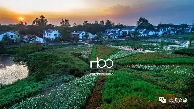 升温啦！南京向春天冲地产新闻刺！南京人该去哪里浪？