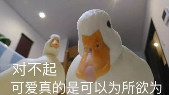 送钱送房送户口！昆明也加入抢人大战，拼得过其他城市吗？
