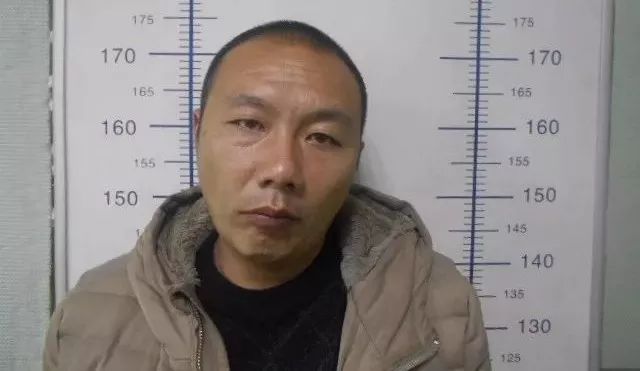 刘家营人口_人口普查(2)
