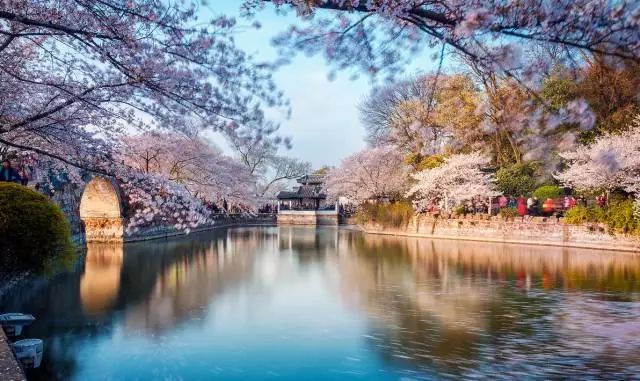 2018武汉春季赏花地图来了,有花为伴不负春日好时光!