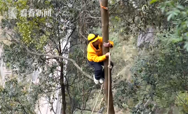 飞檐走壁的视频大全 Lnyn-fyscsmv6298847.png