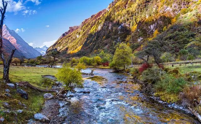 火车直达四姑娘山 | 微说四川|四姑娘山|旅游|都