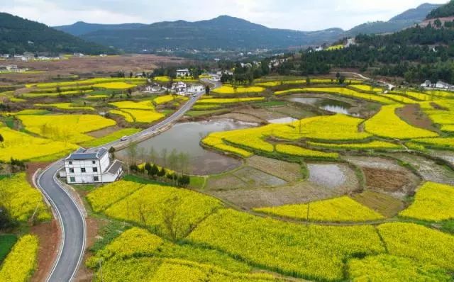 苍溪县城人口_苍溪县城图片