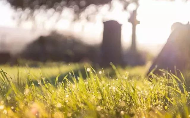 转给你的老板!员工请假,这些假必须批!|员工|职