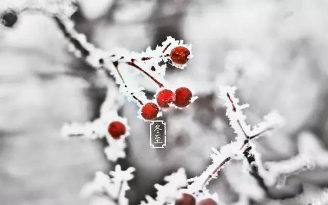 今日冬至!在老南京人心里,这些冬至习俗一件都