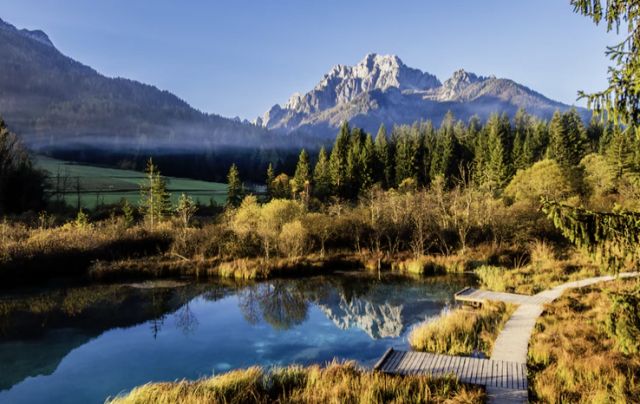 人民日报为煤炭正名:让英雄不再气短,黄金时代