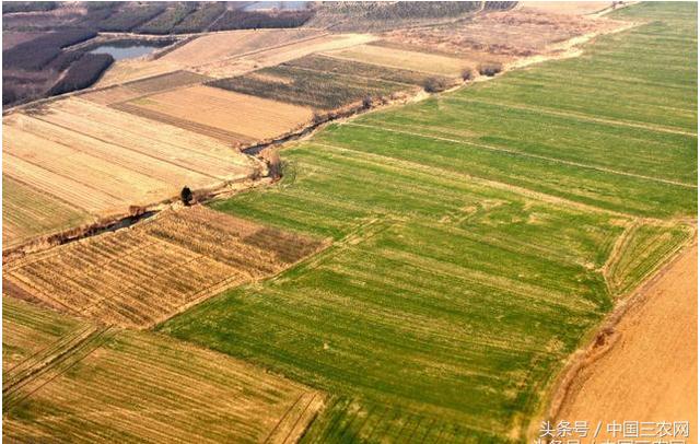 土地确权后 农民个人可以私自买卖土地吗?
