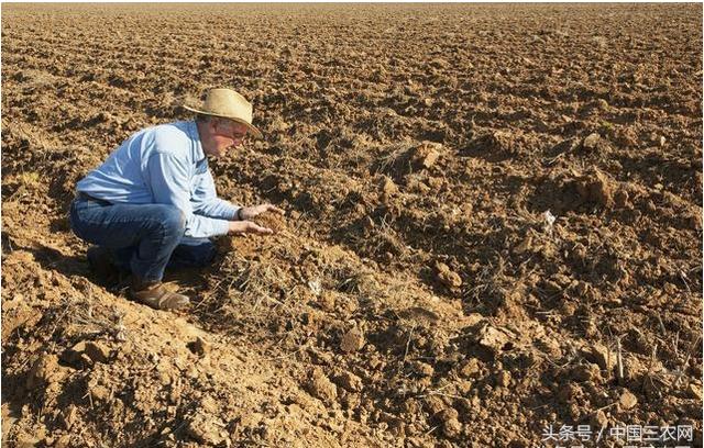 土地确权后 农民个人可以私自买卖土地吗?