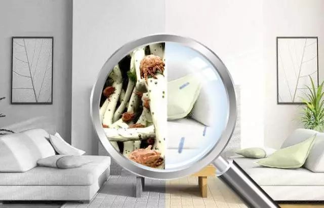 令人头疼的螨虫肆意滋生!教你轻松除掉99.99%