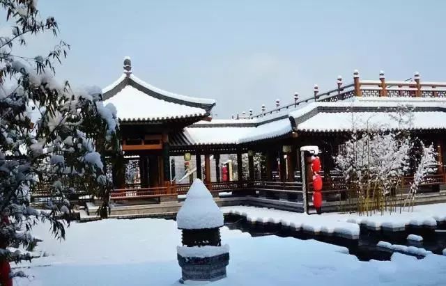 新一轮降温来袭,西安有望收获中到大雪,你准备