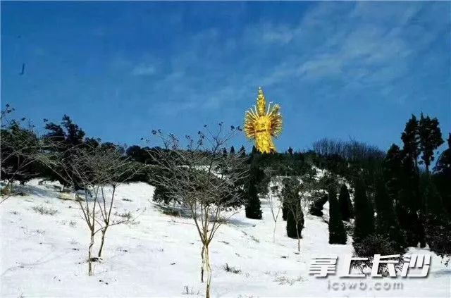下雪啦!长沙2018第一场雪在这里首秀!应该就快