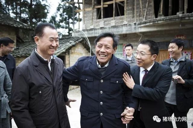 定调!看2018中央农村工作会议对养猪业产生的