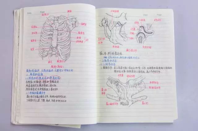 还有一些神奇的孩子偏离了主流,另辟蹊径,画风别具一格,比如: