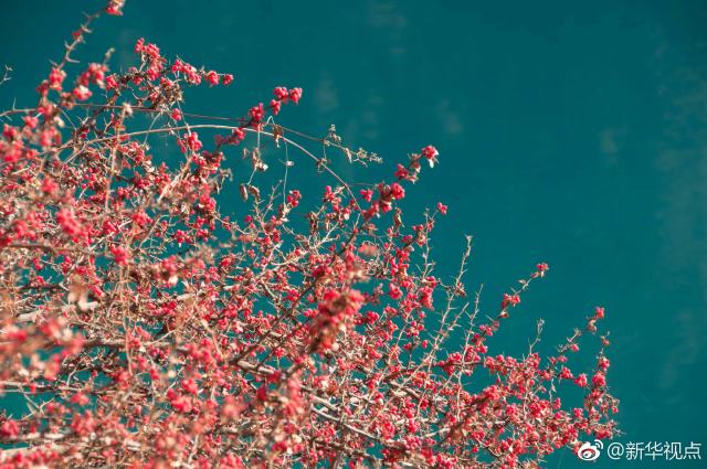 九寨沟景区3月8日重开 只接待团队游客并下调