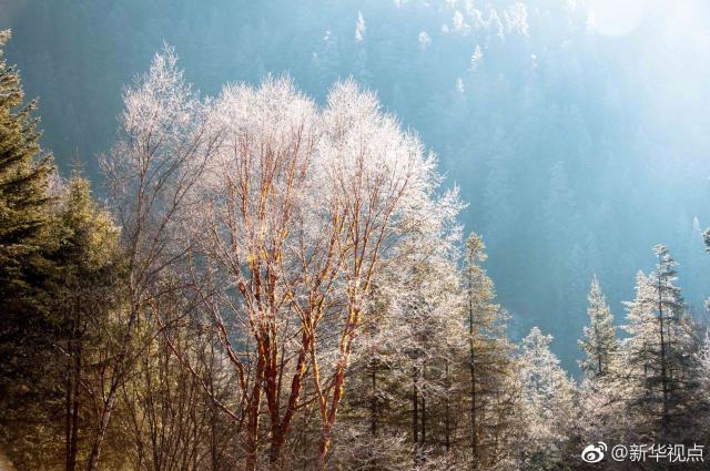 九寨沟景区3月8日重开 只接待团队游客并下调