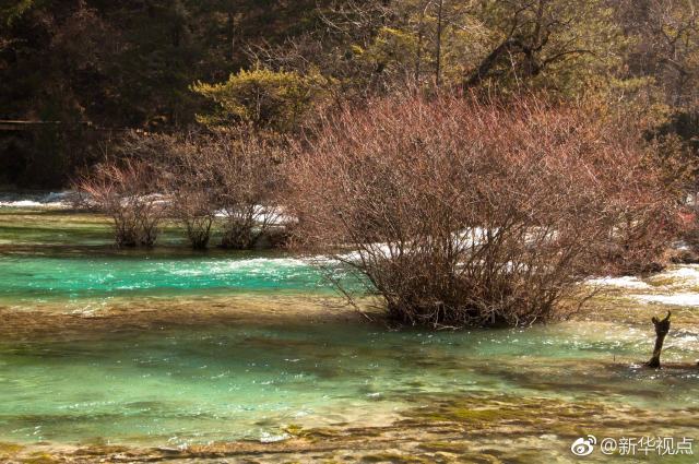 九寨沟景区3月8日重开 只接待团队游客并下调